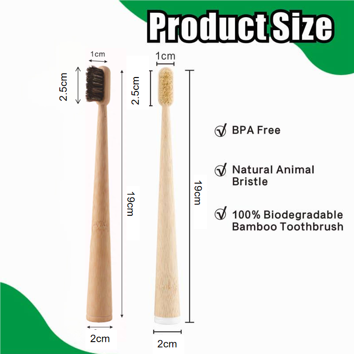 4er-Pack Zahnbürsten aus Wilds – Bamboo Toothbrush Set Bewertung und Preis